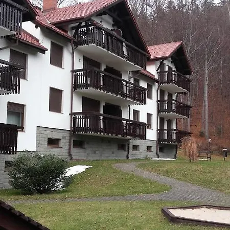 Serce Beskidów Apartament *